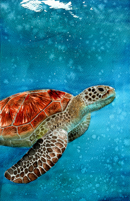Turtle Under Water Watercolor Painting Print 100% Australian Made