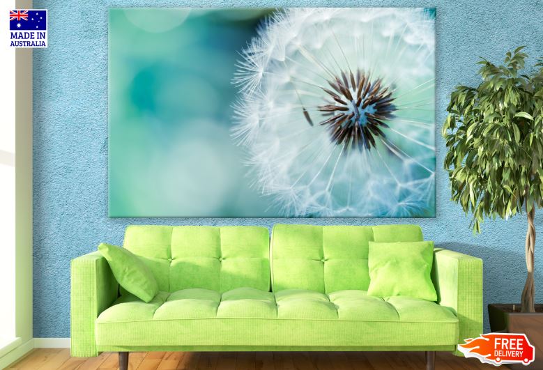 Dandelion Flower Closeup Photograph Print 100% Australian Made