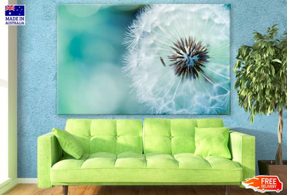 Dandelion Flower Closeup Photograph Print 100% Australian Made