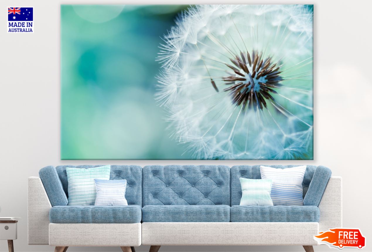Dandeion Flower Closeup View Print 100% Australian Made