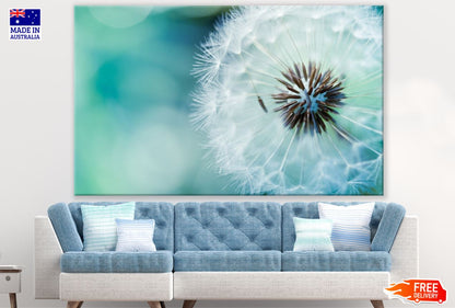 Dandeion Flower Closeup View Print 100% Australian Made