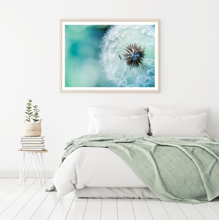 Dandeion Flower Closeup View Home Decor Premium Quality Poster Print Choose Your Sizes