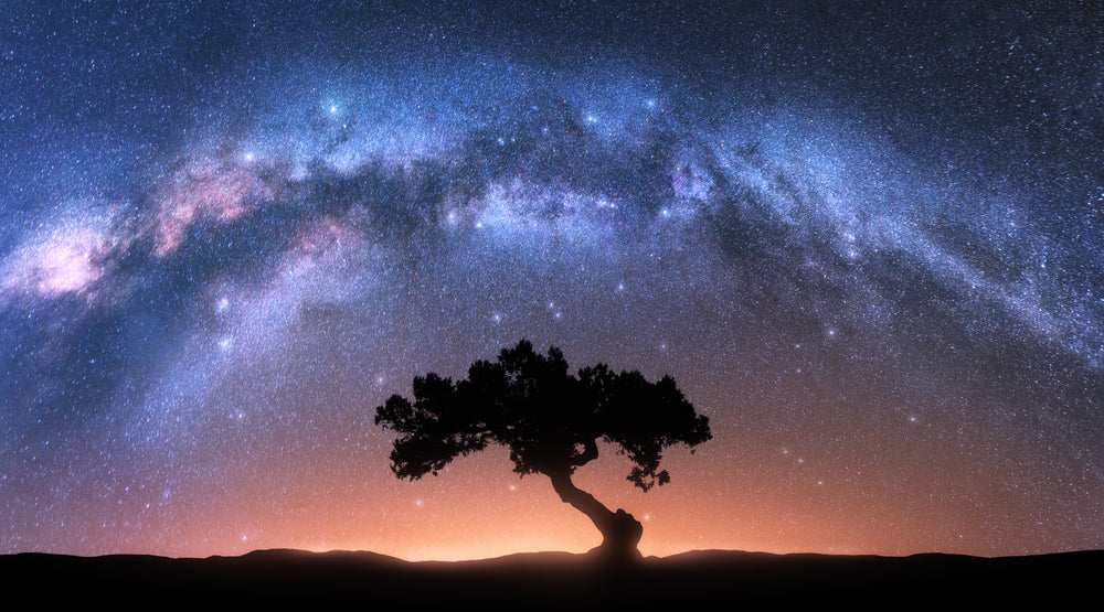 Tree & Space Milkyway View Scenic Print 100% Australian Made