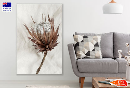 Flower Closeup Photograph Print 100% Australian Made