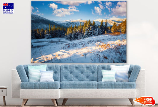Pine Tree Forest Scenery Photograph Print 100% Australian Made