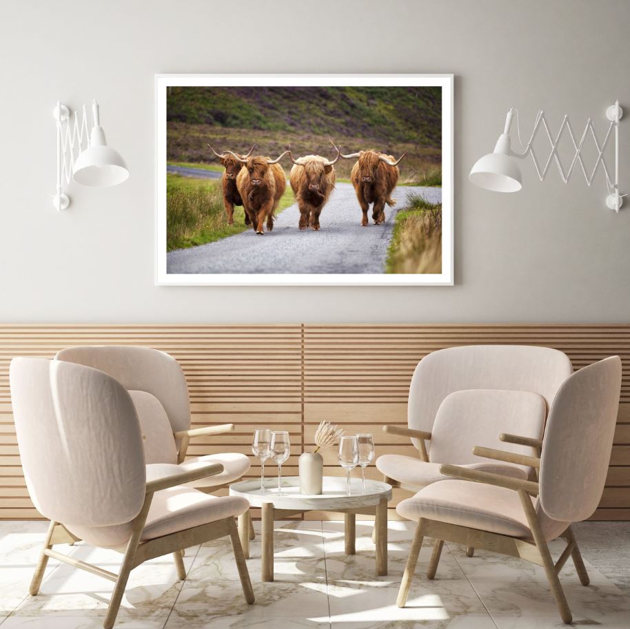 Highland Cow Herd on Road Scenery Home Decor Premium Quality Poster Print Choose Your Sizes