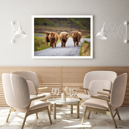 Highland Cow Herd on Road Scenery Home Decor Premium Quality Poster Print Choose Your Sizes