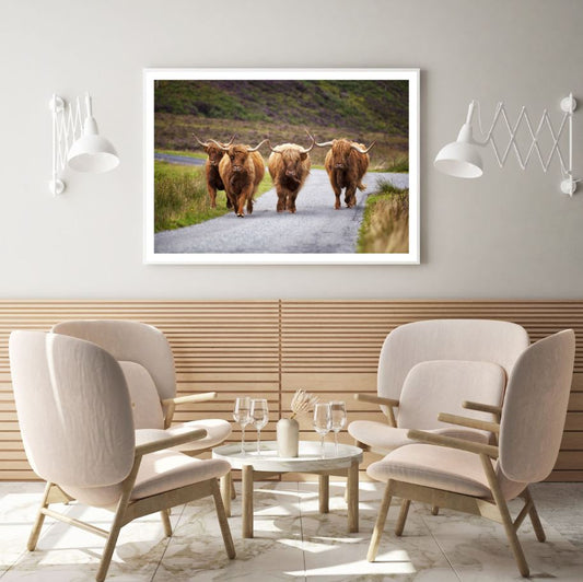 Highland Cow Herd on Road Scenery Home Decor Premium Quality Poster Print Choose Your Sizes