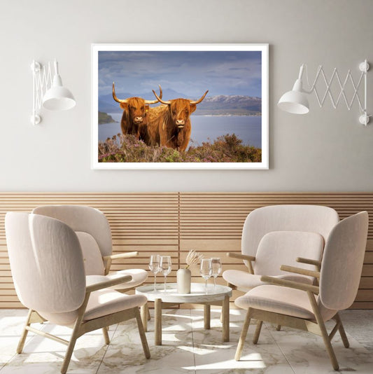 Highland Cows on Field Photograph Home Decor Premium Quality Poster Print Choose Your Sizes