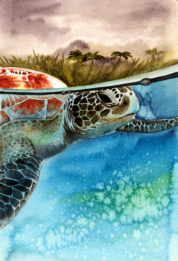 Turtle Under Water Watercolor Painting Print 100% Australian Made