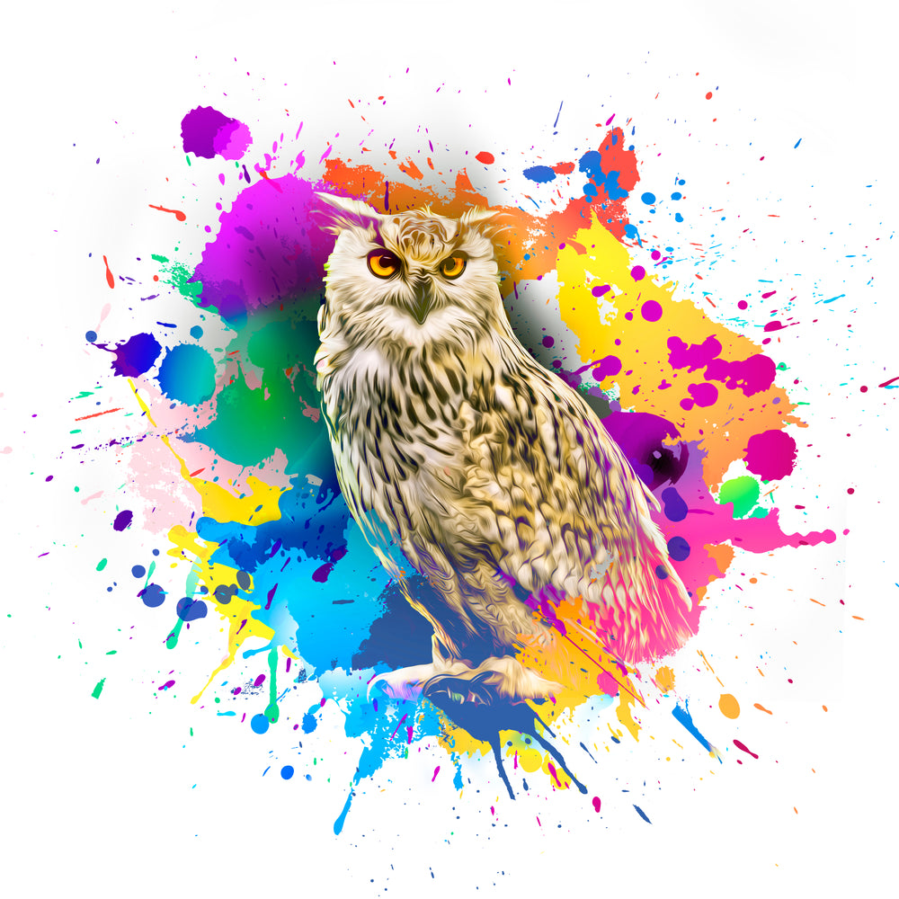 Square Canvas Owl Abstract Color Splash High Quality Print 100% Australian Made