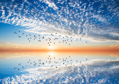 Bird Flying Over Sea Photograph Home Decor Premium Quality Poster Print Choose Your Sizes