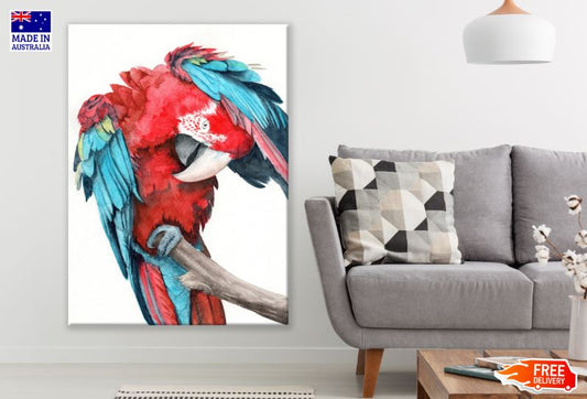 Colorful Parrot Watercolor Painting Print 100% Australian Made