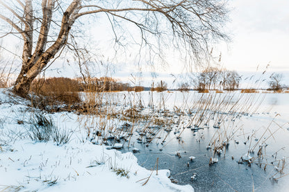 Frozen Lake Scenery Photograph Print 100% Australian Made