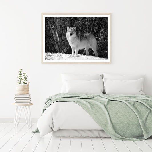 Wolf in Forest B&W Photograph Home Decor Premium Quality Poster Print Choose Your Sizes