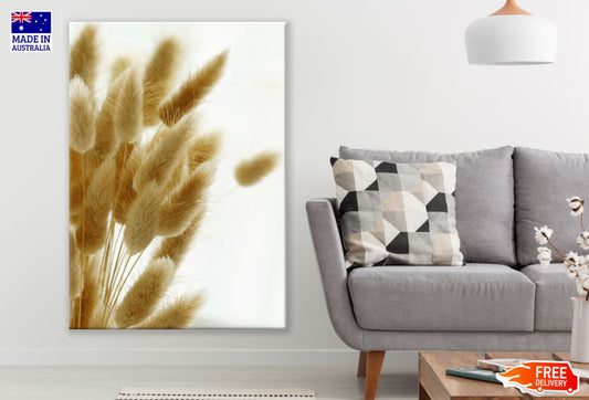 Grass Closeup Photograph Print 100% Australian Made