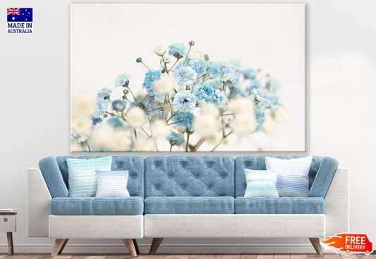 Blue & White Flowers Closeup Photograph Print 100% Australian Made