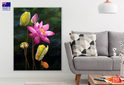 Lotus Flower Digital Painting Print 100% Australian Made