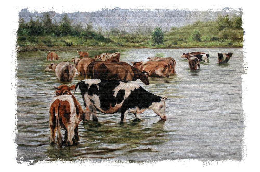 Cows in Water Painting Print 100% Australian Made