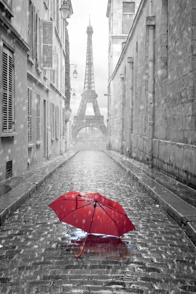 Eiffel Tower B&W with Red Umbrella Photograph Print 100% Australian Made