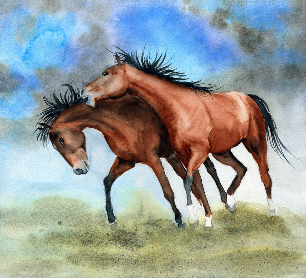 Square Canvas Running Horses Watercolor Painting High Quality Print 100% Australian Made