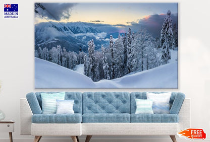 Forest Covered with Snow Photograph Print 100% Australian Made