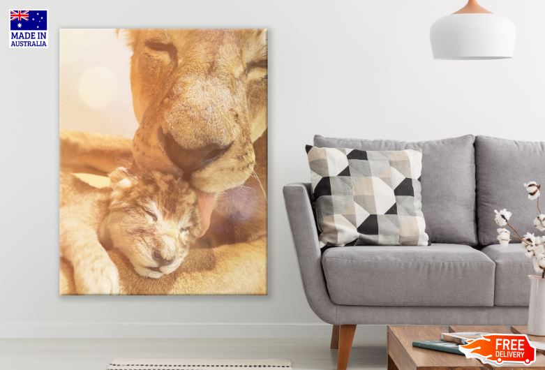 Lion & Cub at Sunset Photograph Print 100% Australian Made
