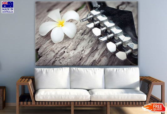 Flower & Guitar Closeup Photograph Print 100% Australian Made