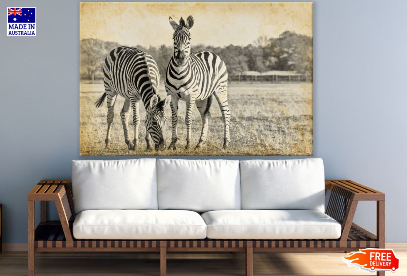 Zebras Vintage Photograph Print 100% Australian Made