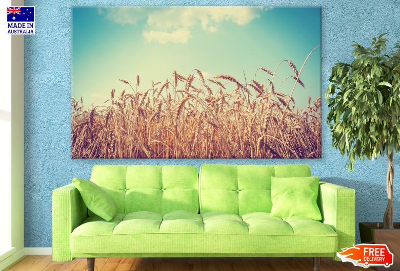 Wheat Field Closeup Photograph Print 100% Australian Made