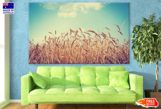 Wheat Field Closeup Photograph Print 100% Australian Made