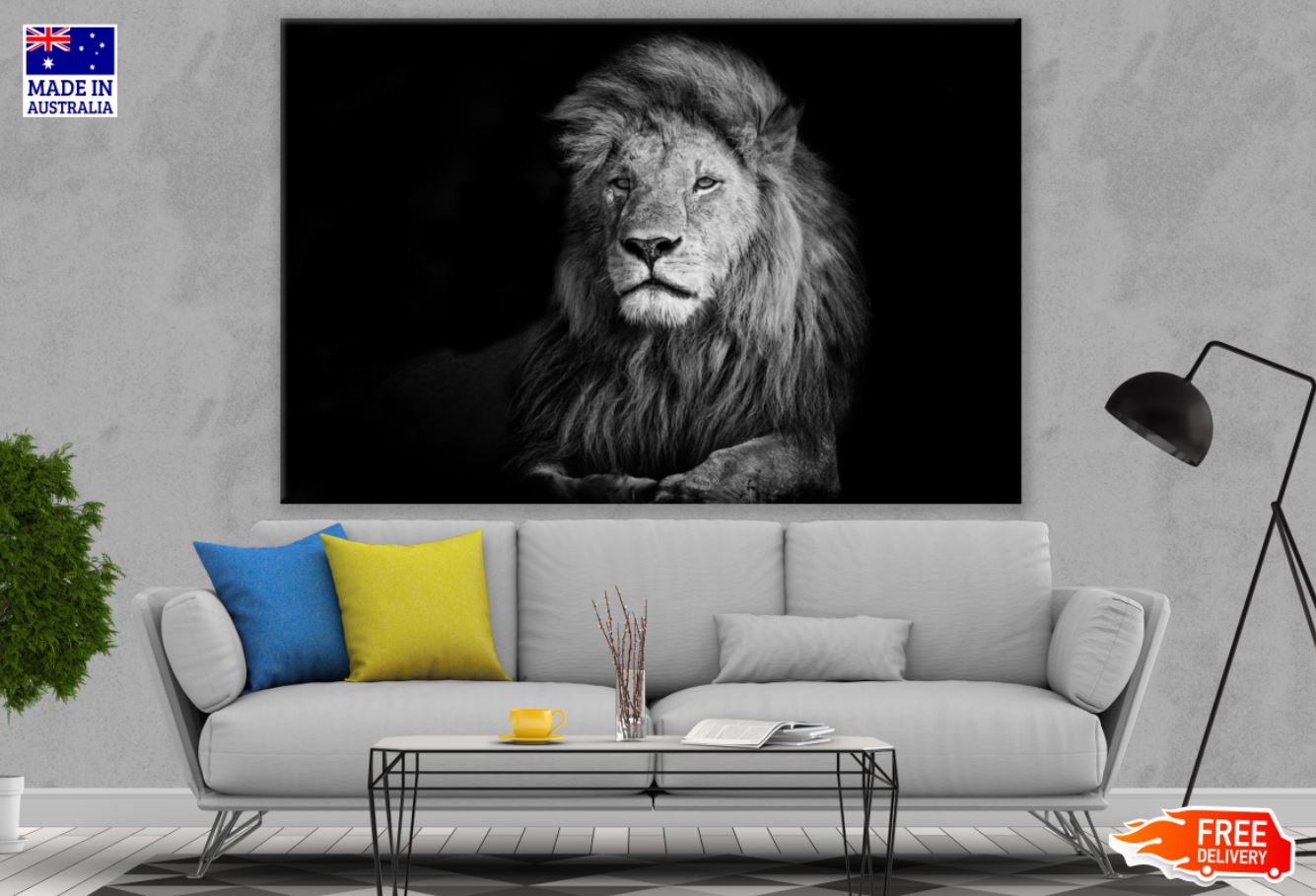 Lion Portrait B&W Photograph Print 100% Australian Made