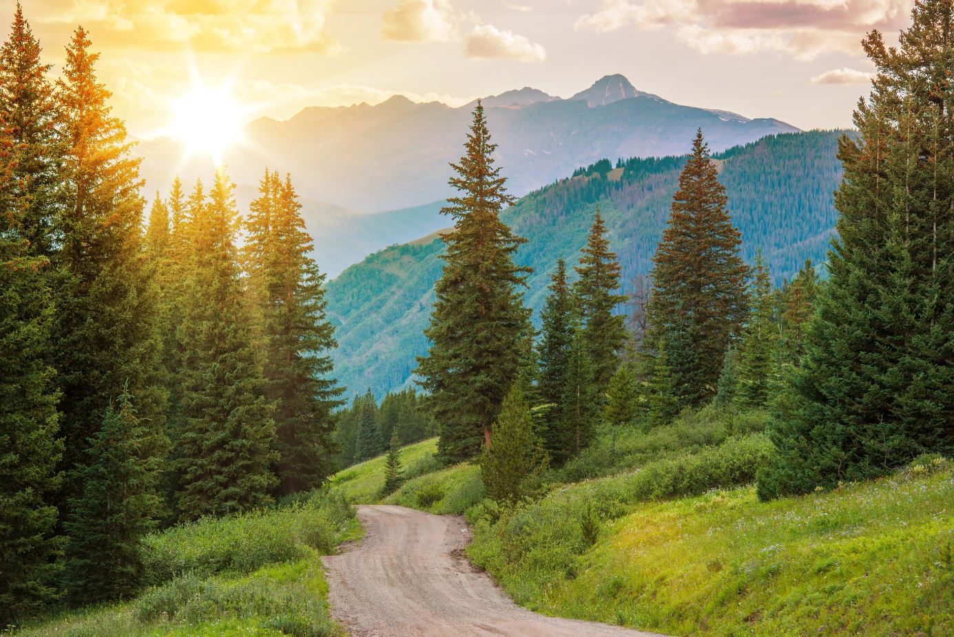 Mountain Landscape with Trees & Sunrise Photograph Print 100% Australian Made