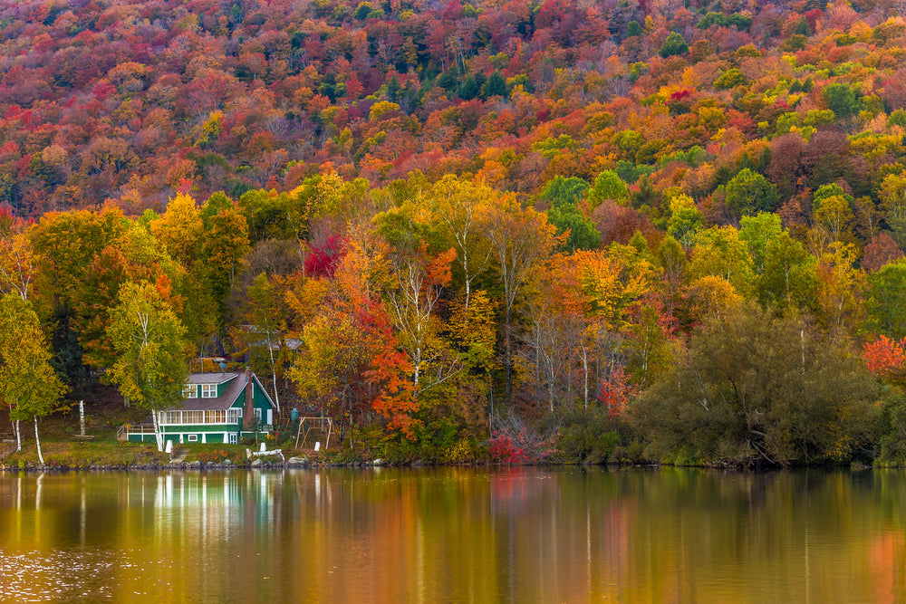 Lake Near Autumn Forest Scenery Photograph Home Decor Premium Quality Poster Print Choose Your Sizes
