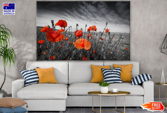 Orange Flower Field B&W Photograph Print 100% Australian Made