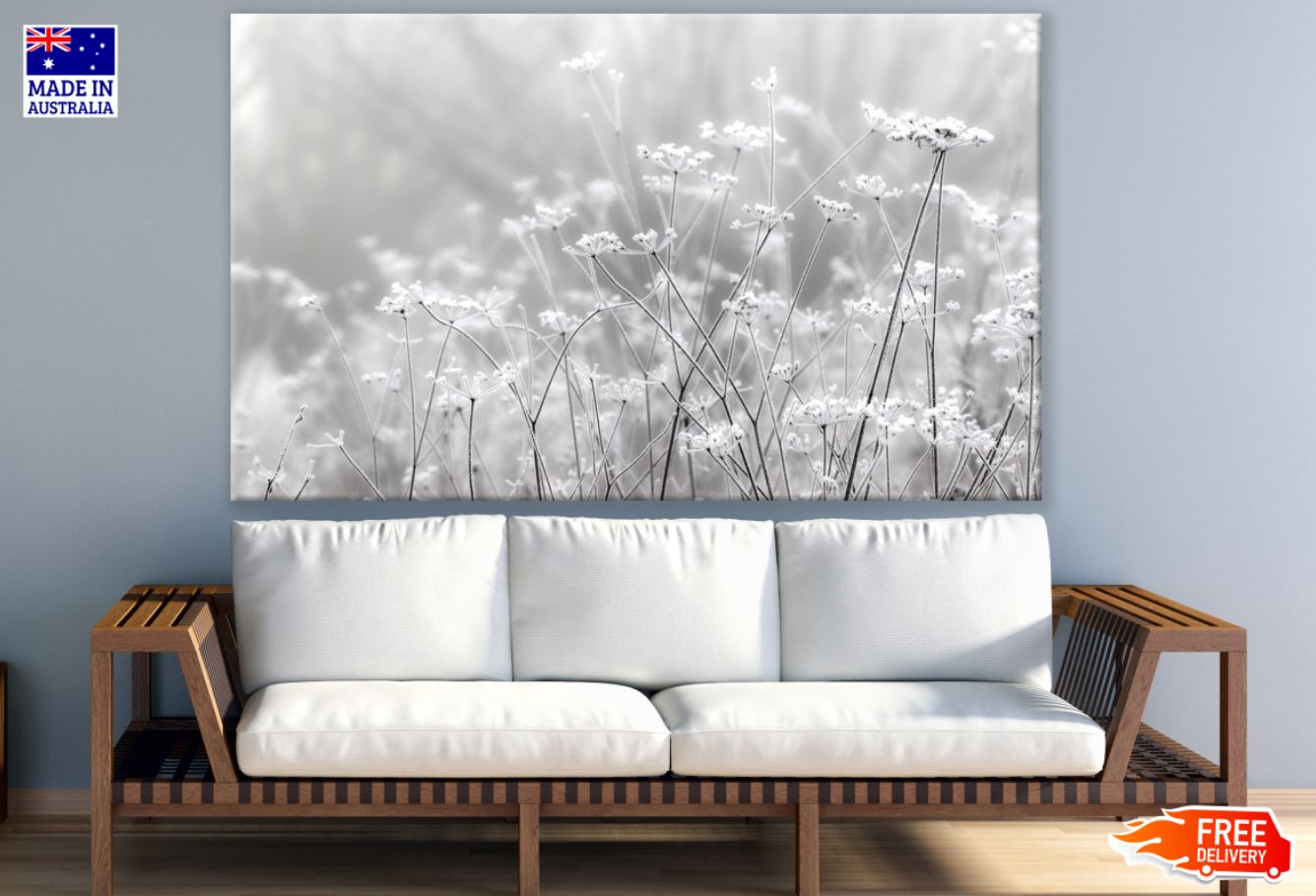 Grass in Winter Photograph Print 100% Australian Made