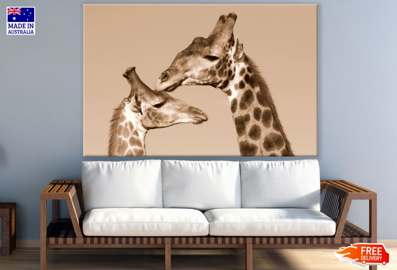 Giraffe & Baby Calf Photograph Print 100% Australian Made