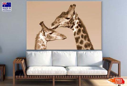 Giraffe & Baby Calf Photograph Print 100% Australian Made