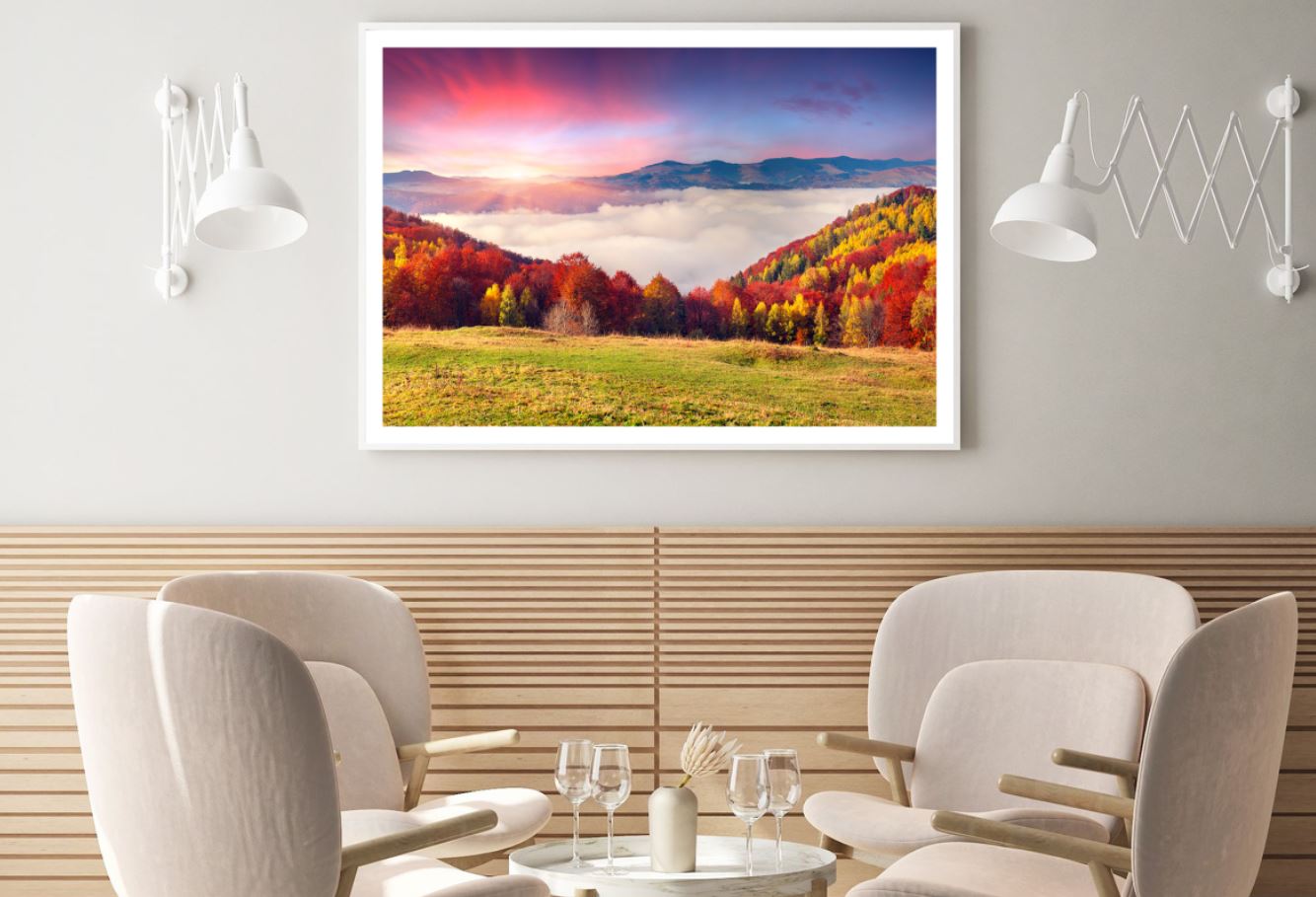 Autumn Forest Sunset Photograph Home Decor Premium Quality Poster Print Choose Your Sizes