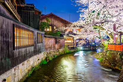 Canal in Japan & Chery Blossom Tress Around Photograph Print 100% Australian Made