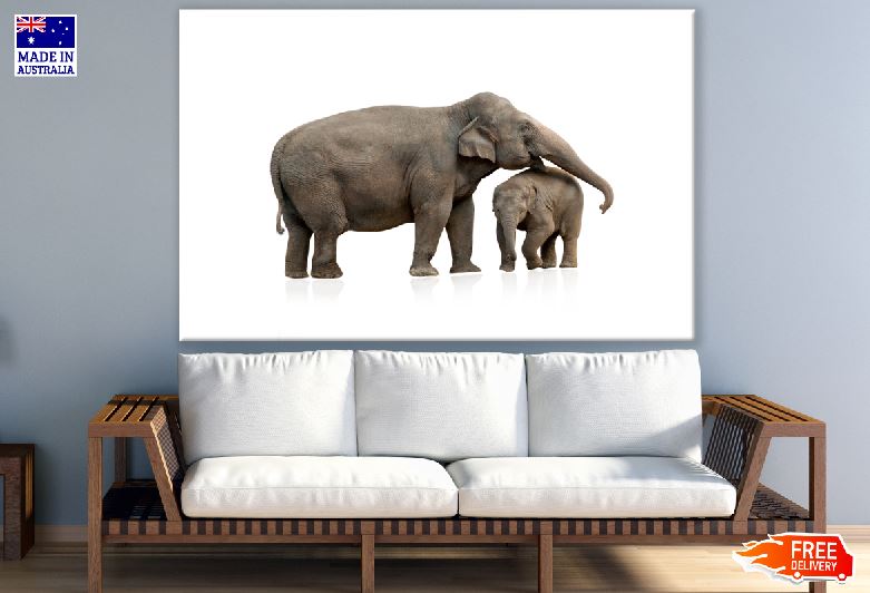 Elephant & Calf Photograph Print 100% Australian Made