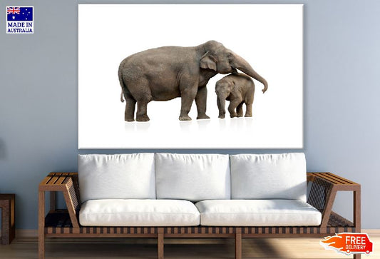 Elephant & Calf Photograph Print 100% Australian Made