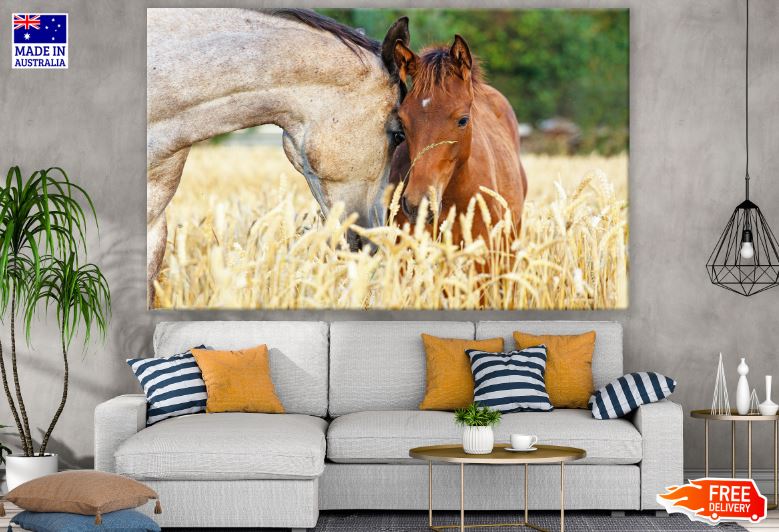 Horse & Baby Foal Face Photograph Print 100% Australian Made