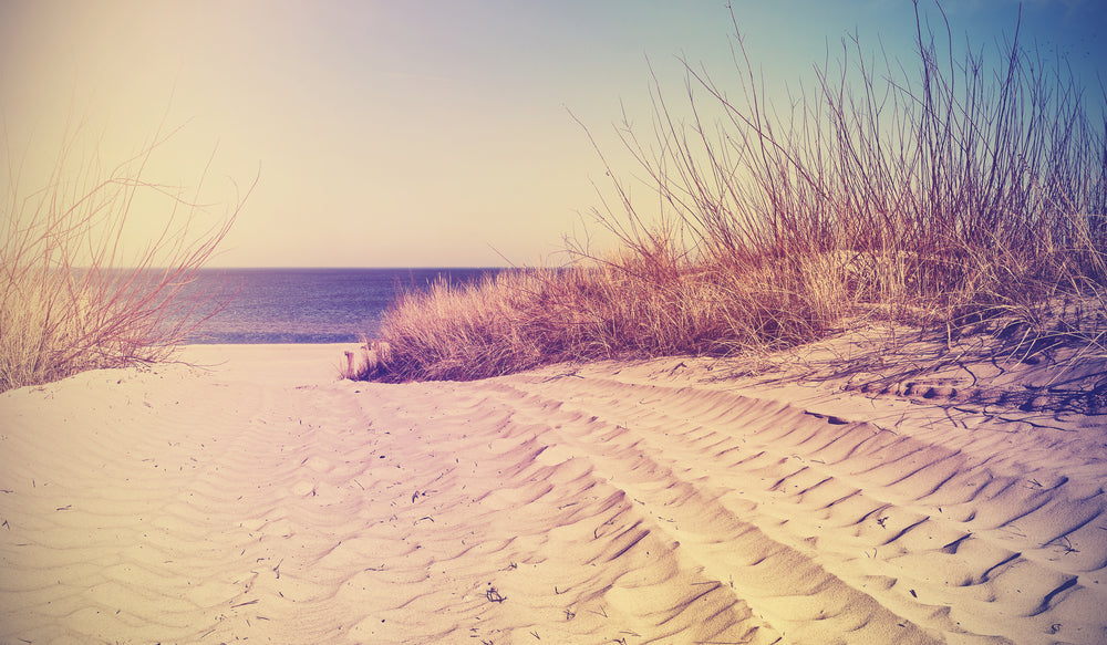 Footpath to Beach Photograph Print 100% Australian Made