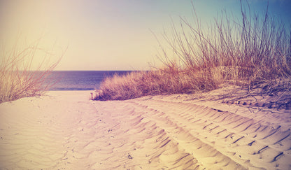 Footpath to Beach Photograph Print 100% Australian Made