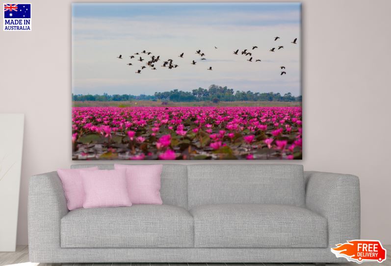 Birds Flying Over Flower Field Photograph Print 100% Australian Made