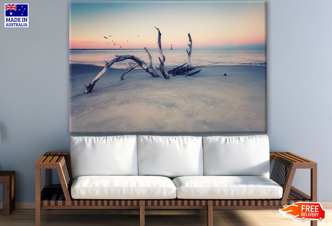 Dead Tree on Beach Photograph Print 100% Australian Made