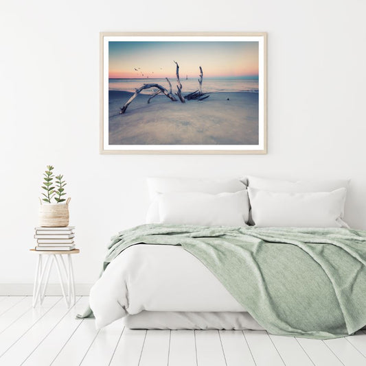Tree on Sea Shore Photograph Home Decor Premium Quality Poster Print Choose Your Sizes