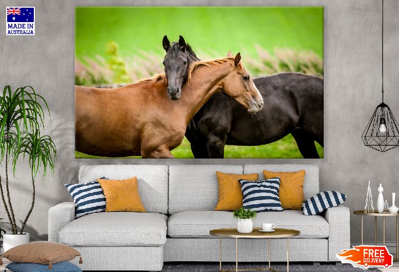 Black & Brown Horses Photograph Print 100% Australian Made
