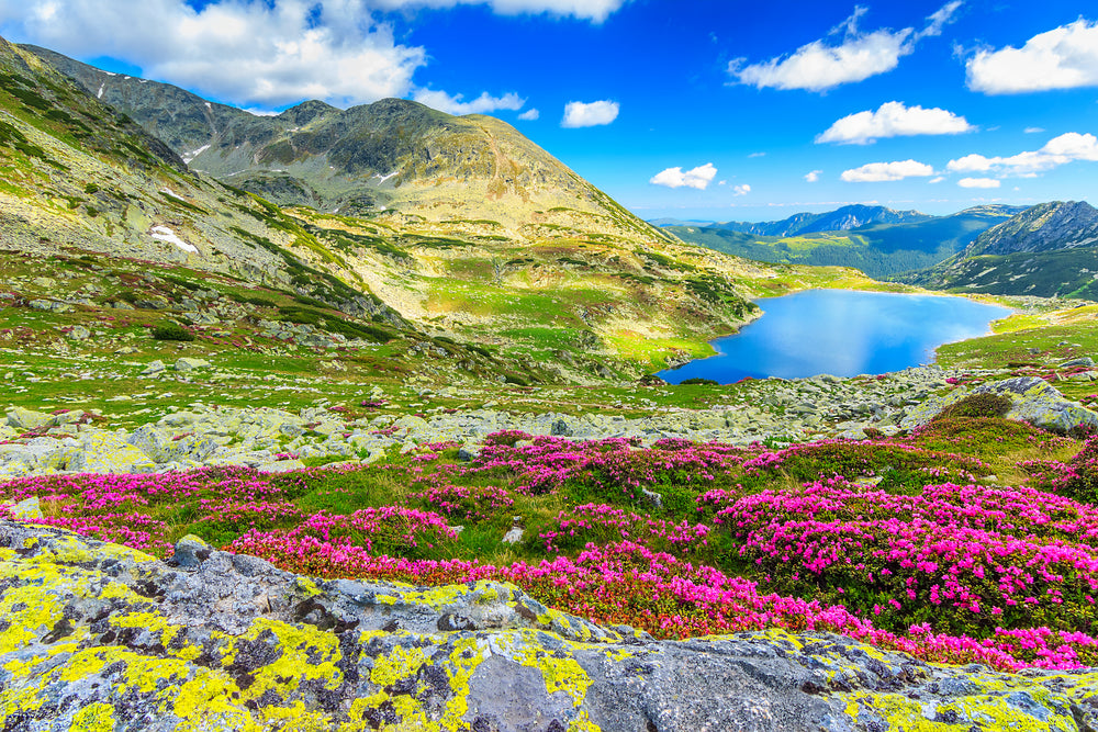 Retezat National Park in Romania Photograph Print 100% Australian Made